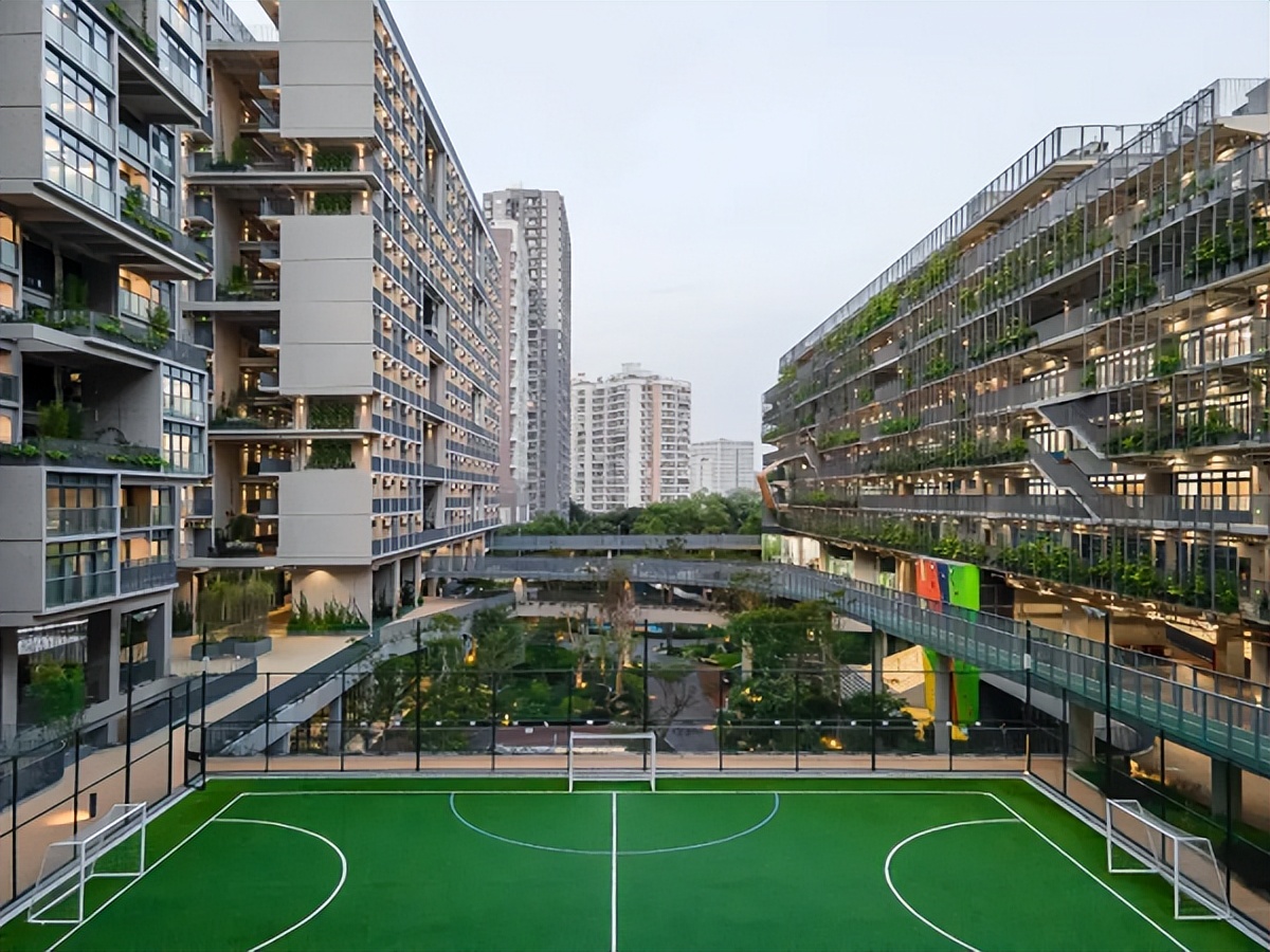 深圳瑞得福国际学校排名,深圳dse国际学校排名