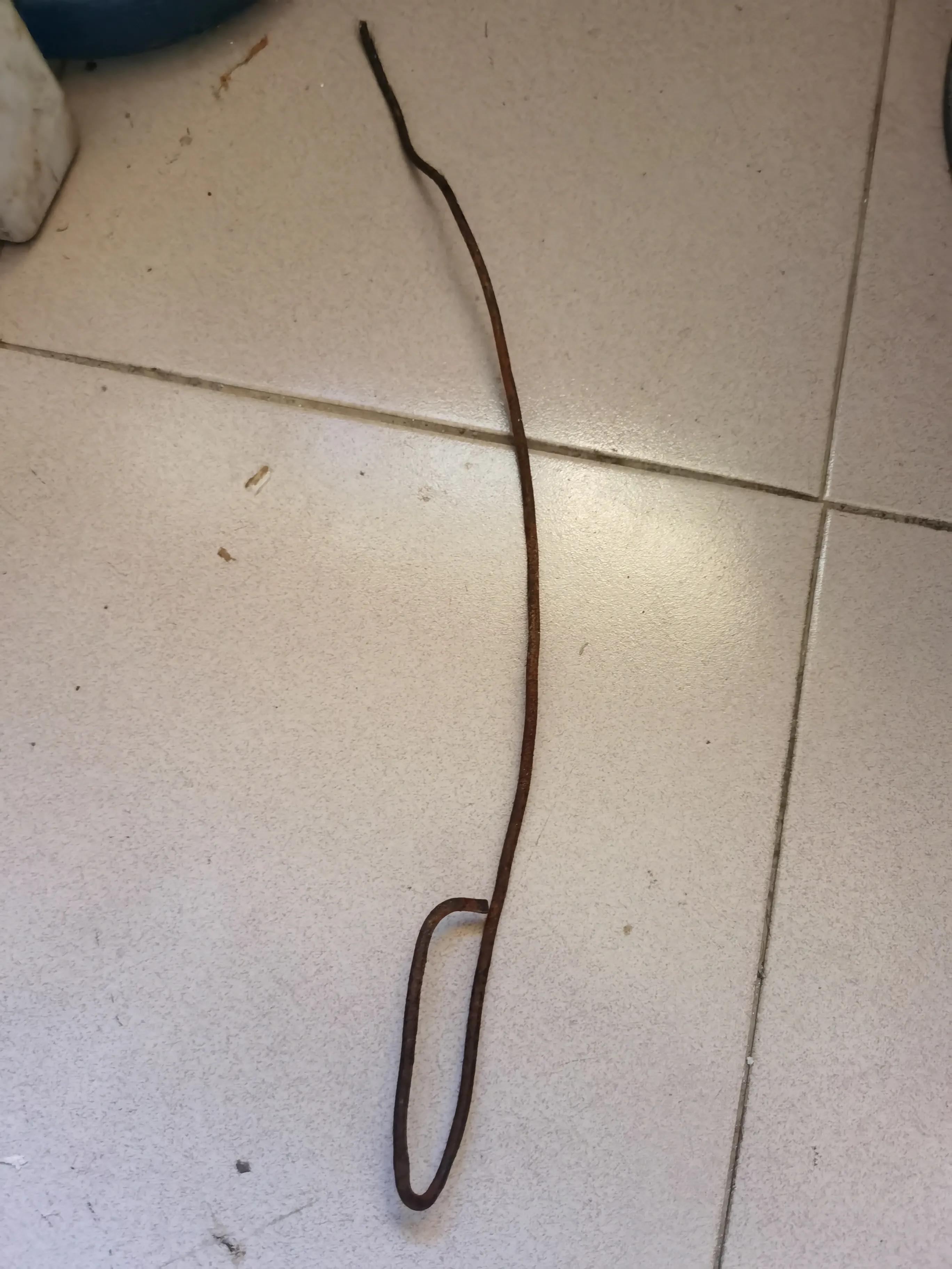 灭鼠的100种方式,专业灭鼠公司一般灭鼠都用啥方法