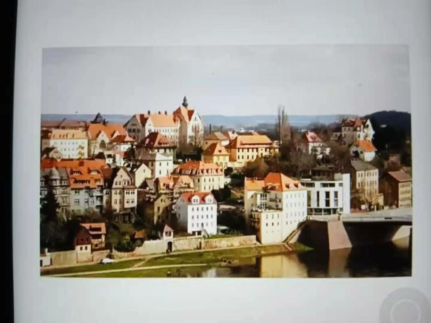 瓷都四大名瓷,欧洲瓷器