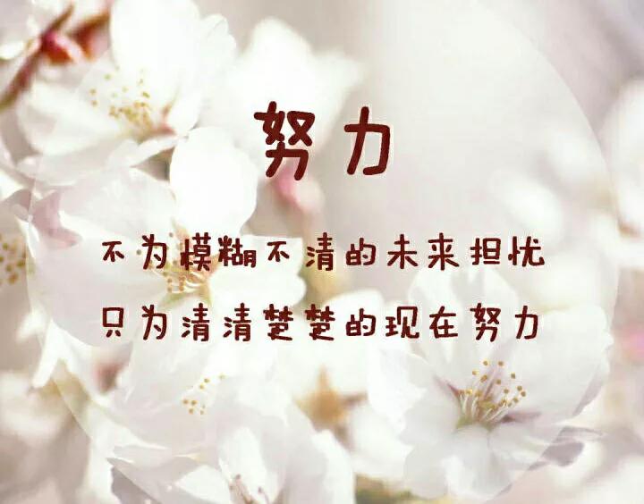 关于努力的语录无背景音乐,努力奋斗励志视频音乐