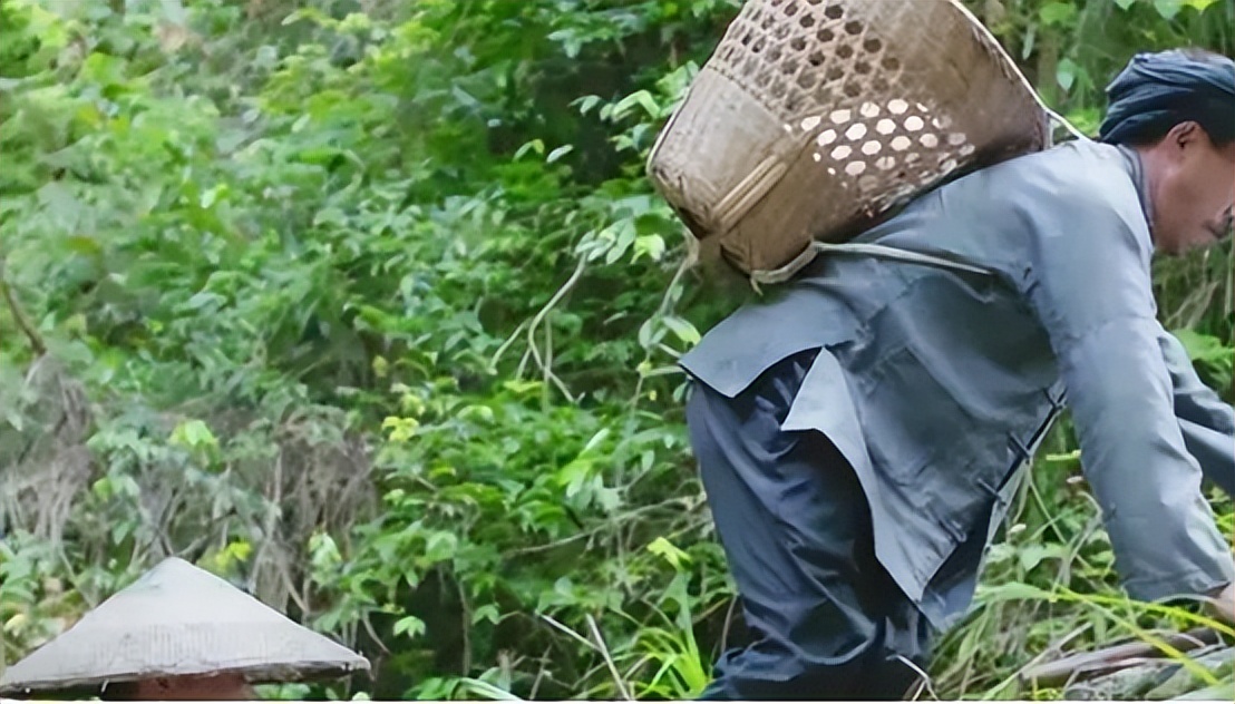 中国第一饮料的落寞：从千亿收入到负债百亿，老板已经跑了17年