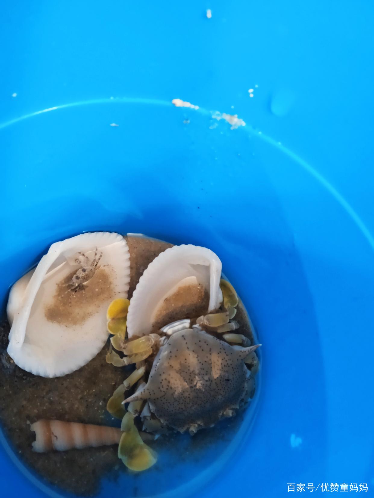 汕尾亲子游记,汕尾旅行攻略三天亲子游