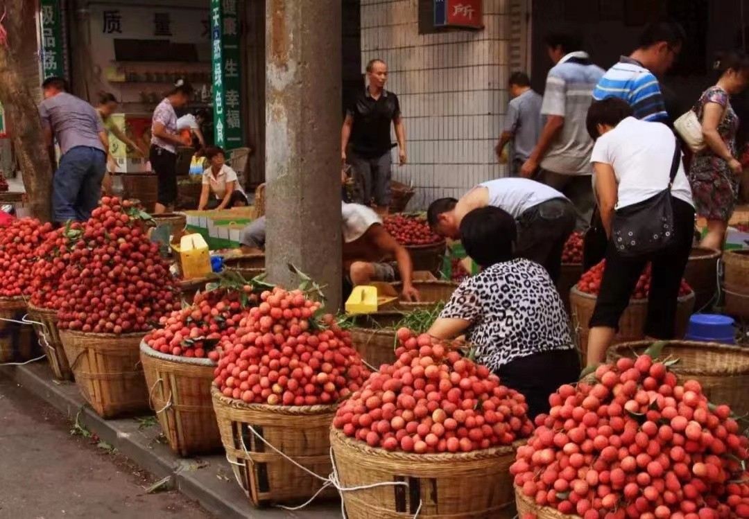 妃子笑收购价2元一斤,妃子笑荔枝收购价