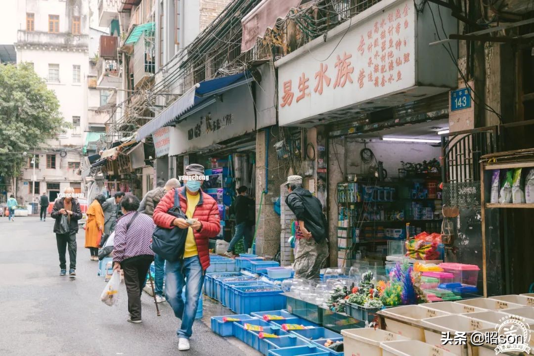 广州清平市场哪家好,清平市场攻略