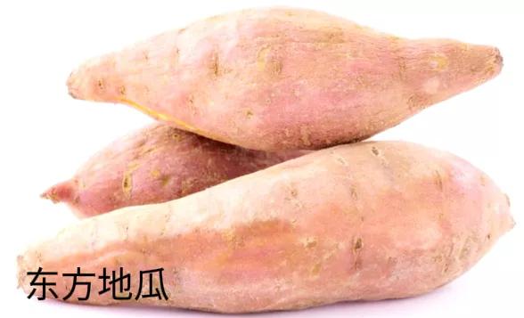 七食店在哪,七食