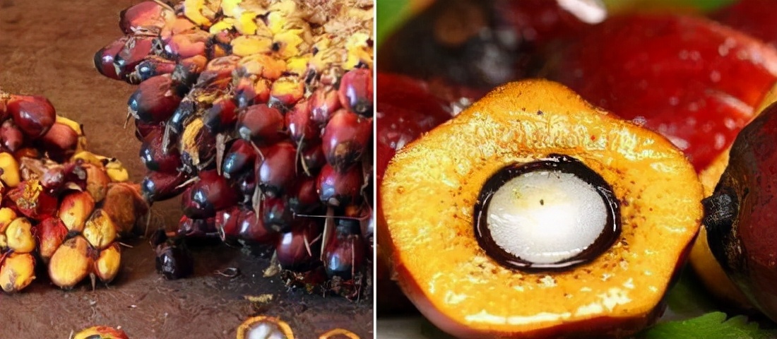 方便面不健康是因为面饼还是调料,为什么说方便面不健康