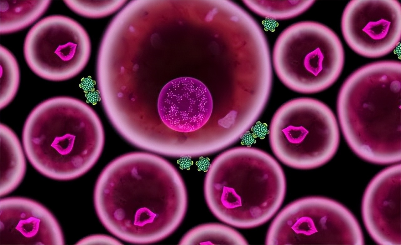 可以通过性传播的疾病有哪些,能通过性传播的疾病有哪些