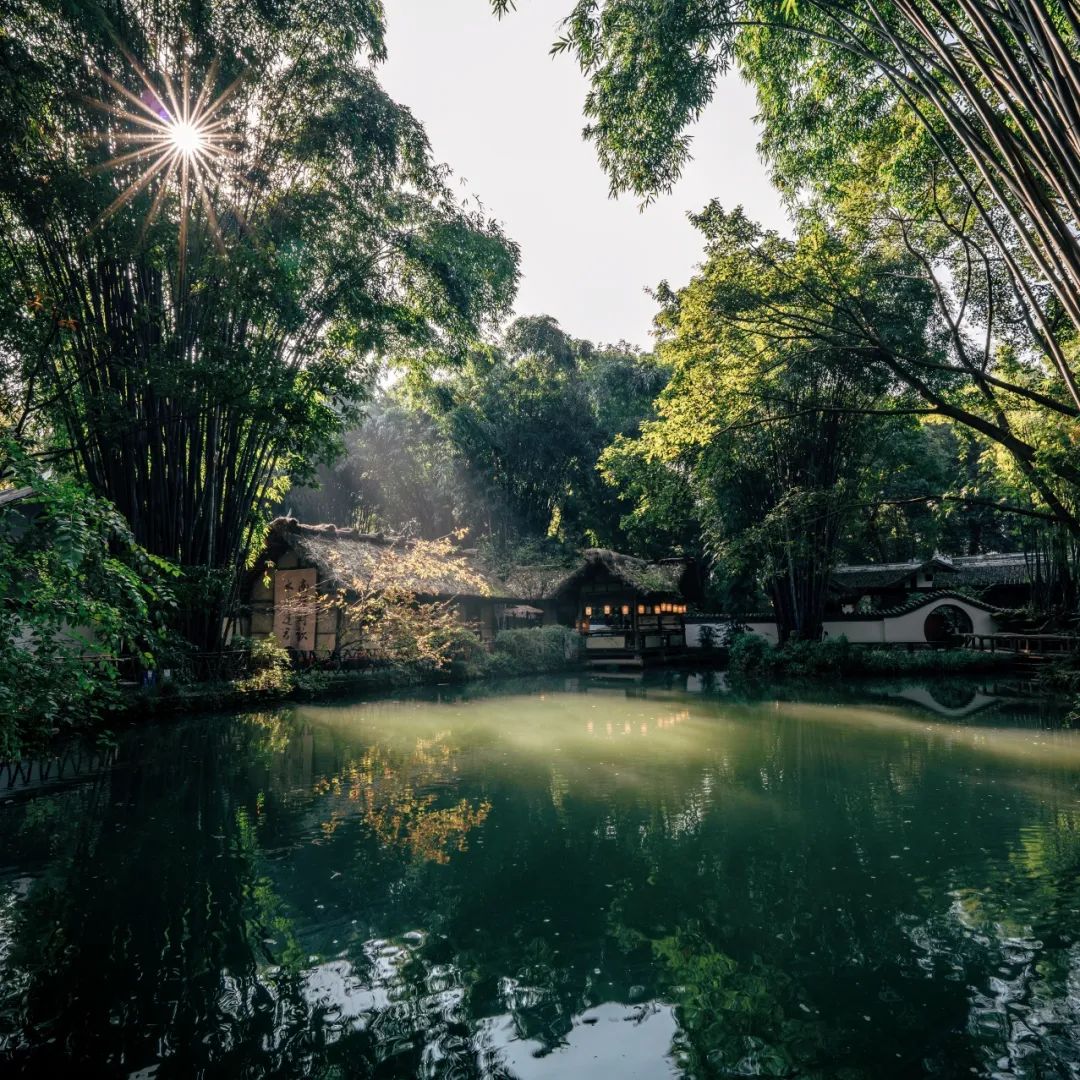 美酒成都,成都的美酒