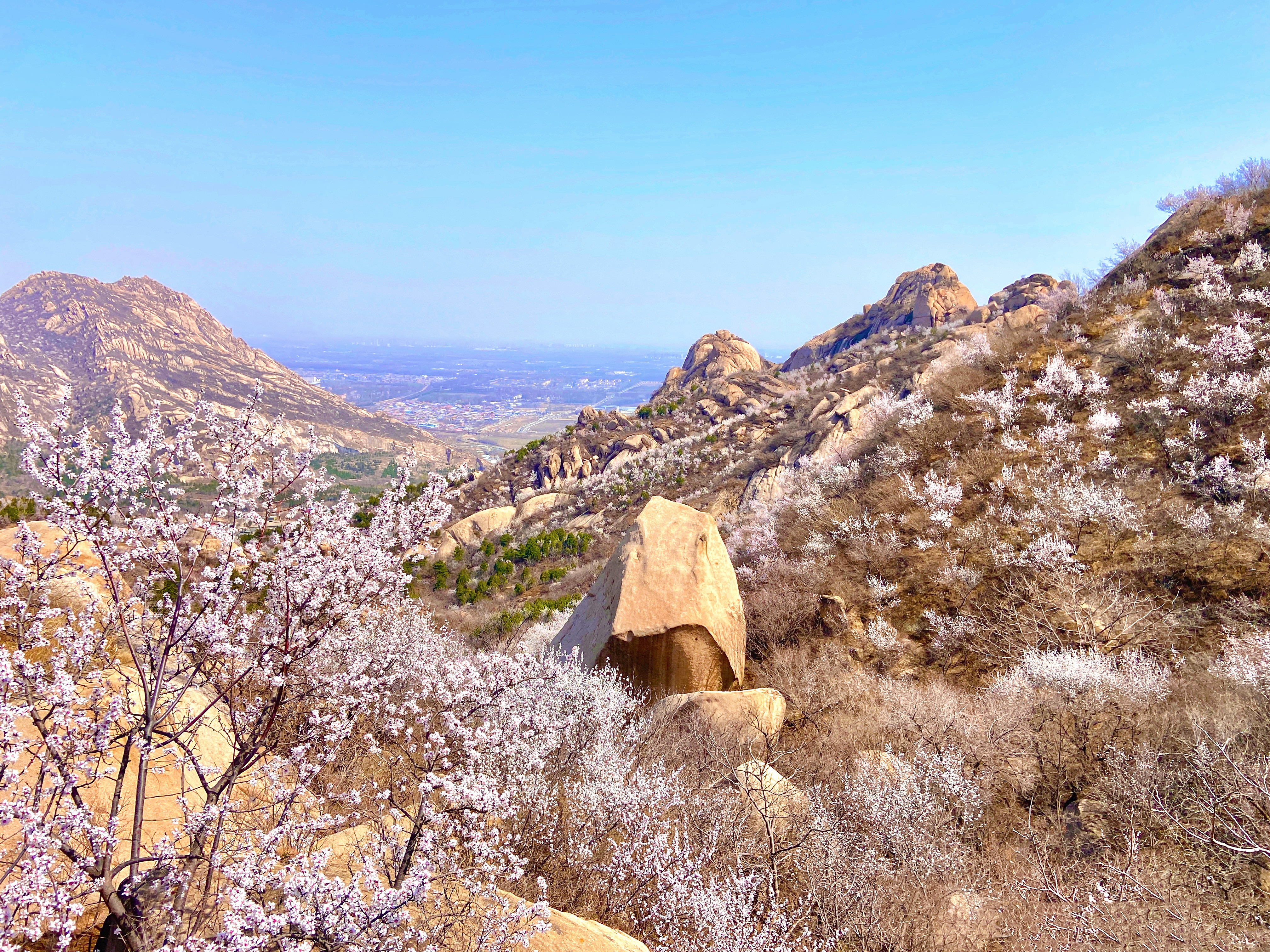 北京近郊清明自驾一日游最佳攻略,清明去哪踏青最合适北京