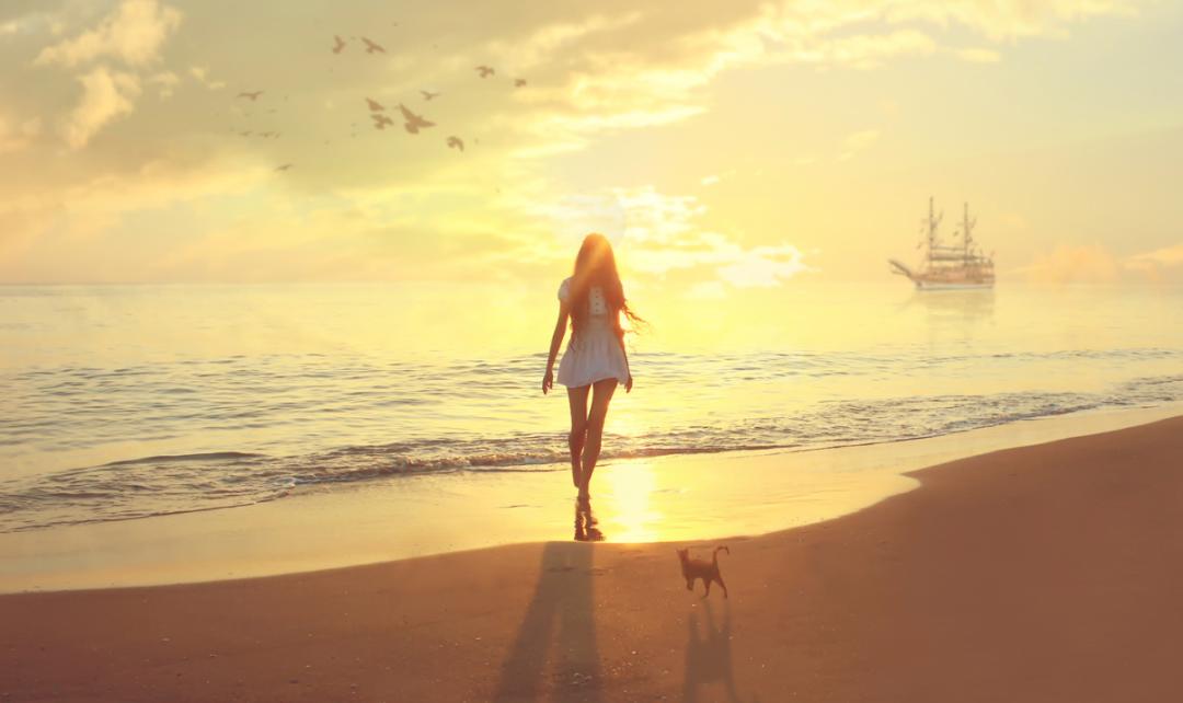 学shell脚本之前必须掌握哪些知识,shell脚本入门基础知识