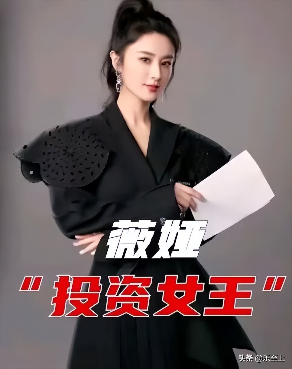 薇娅夫妇上市公司,薇娅夫妇两年赢利