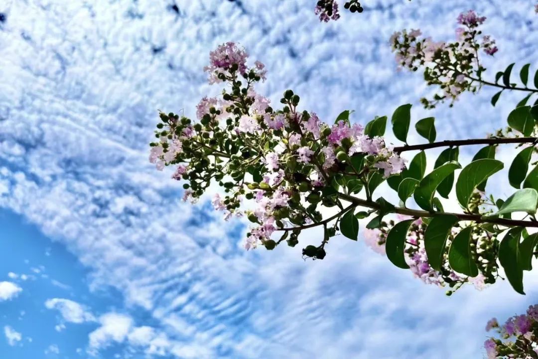 赏美景听自然乐曲,游玩景点峰峰