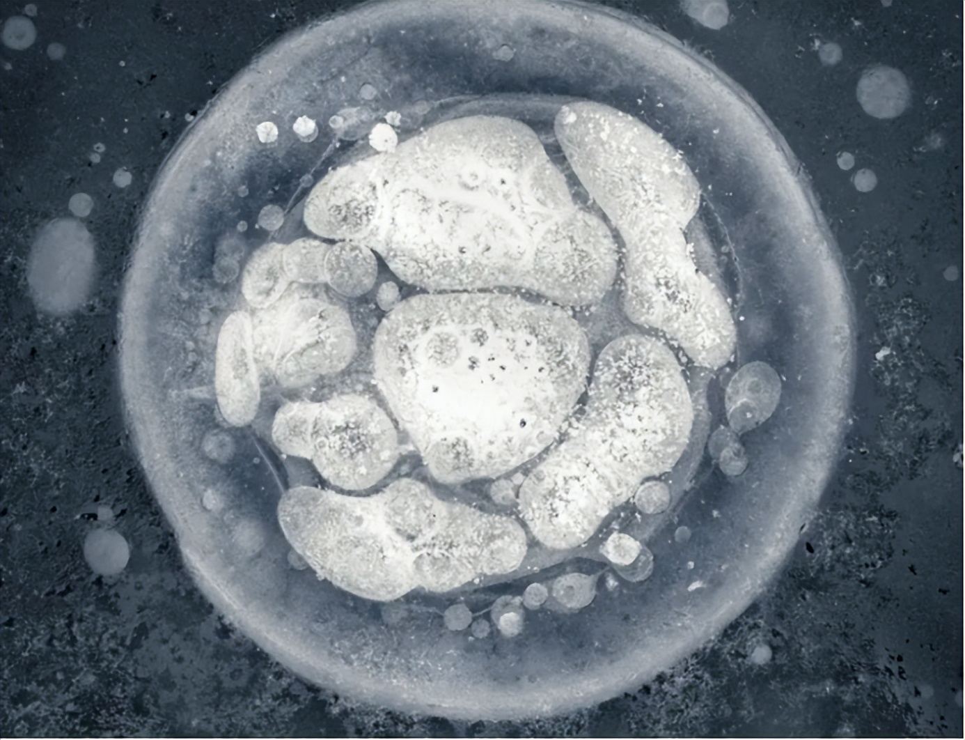 甲烷对全球变暖的贡献是二氧化碳,全球变暖与碳排放量