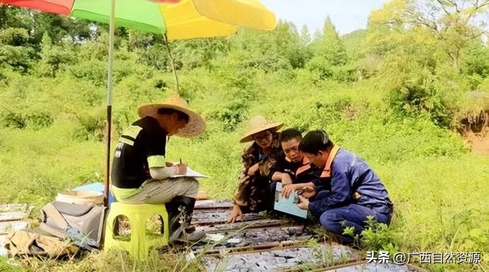 找矿突破项目开展的意义及必要性,广西地质矿产勘查开发局