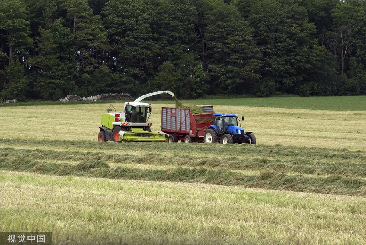 发酵饲料和非发酵饲料的特点,发酵饲料与发酵配合饲料的区别