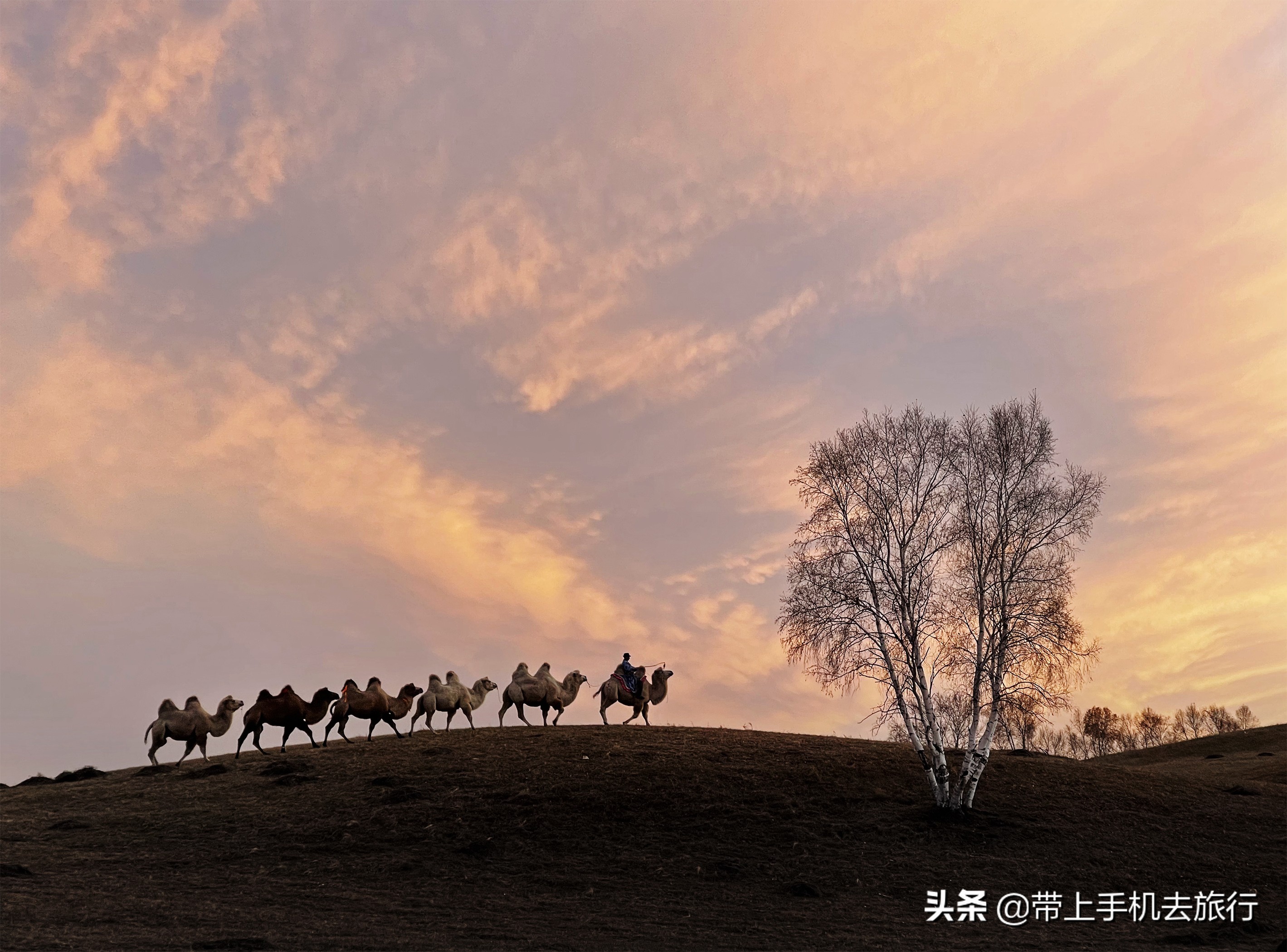 手机摄影怎么样用专业模式,手机摄影是怎么搞的