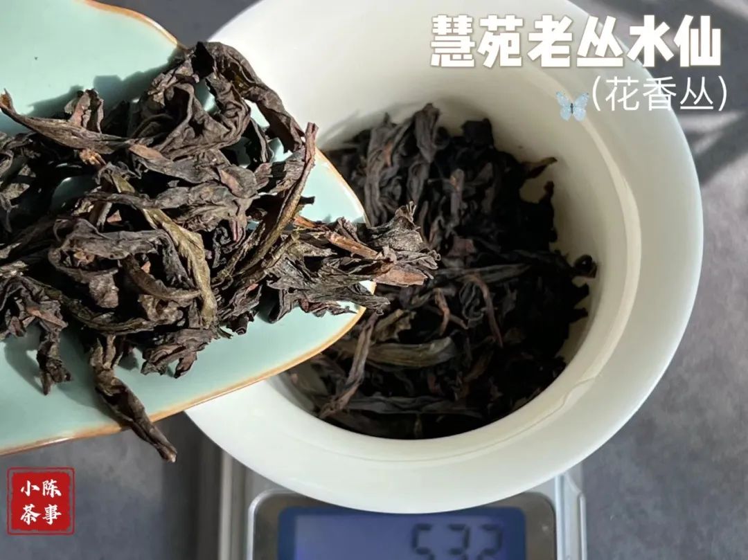 水仙足火乌龙茶马口味道怎么样,武夷岩茶老枞水仙1999年的能喝吗