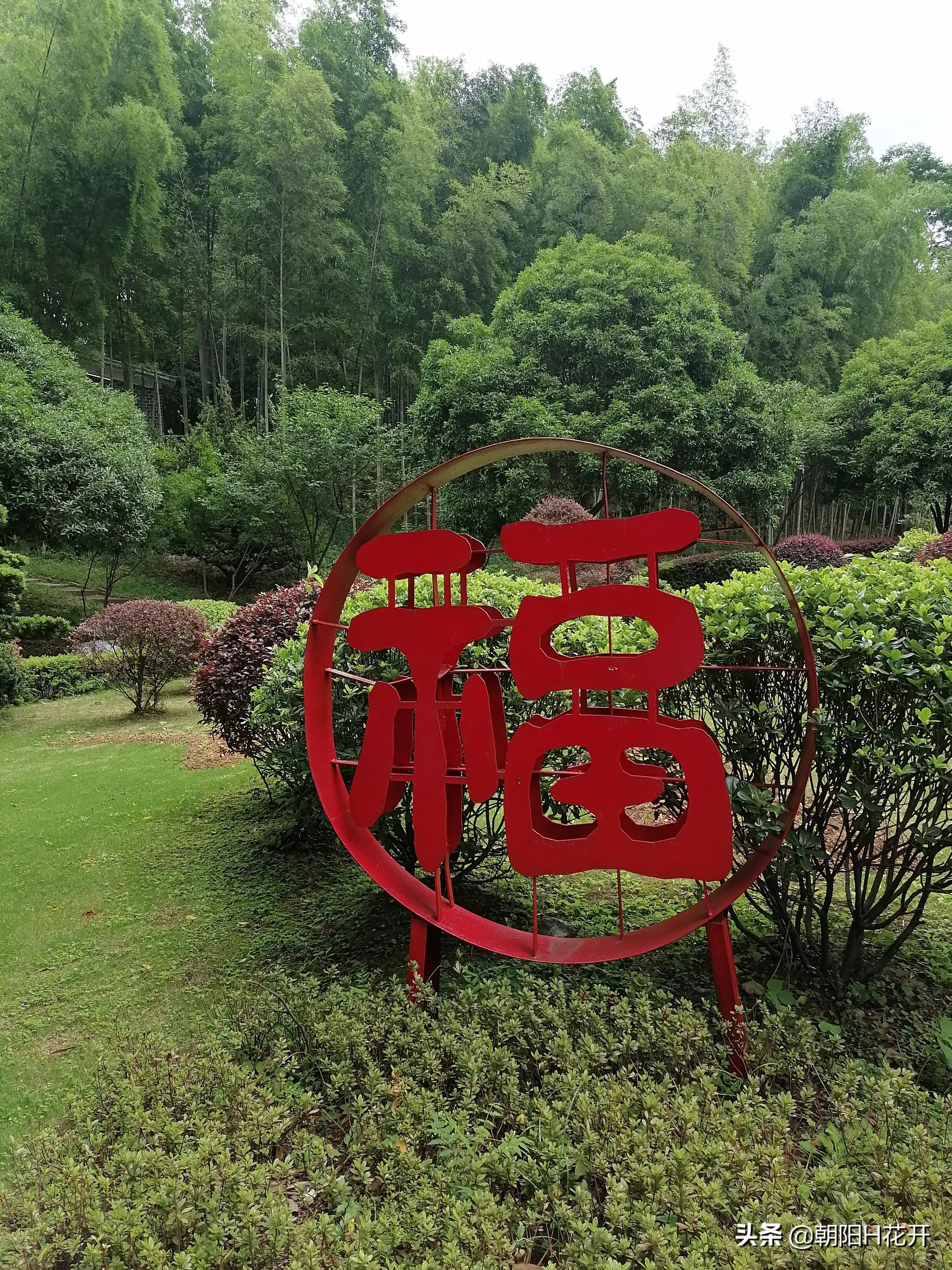 苏仙福地广场即将提质改造，您有什么期待？