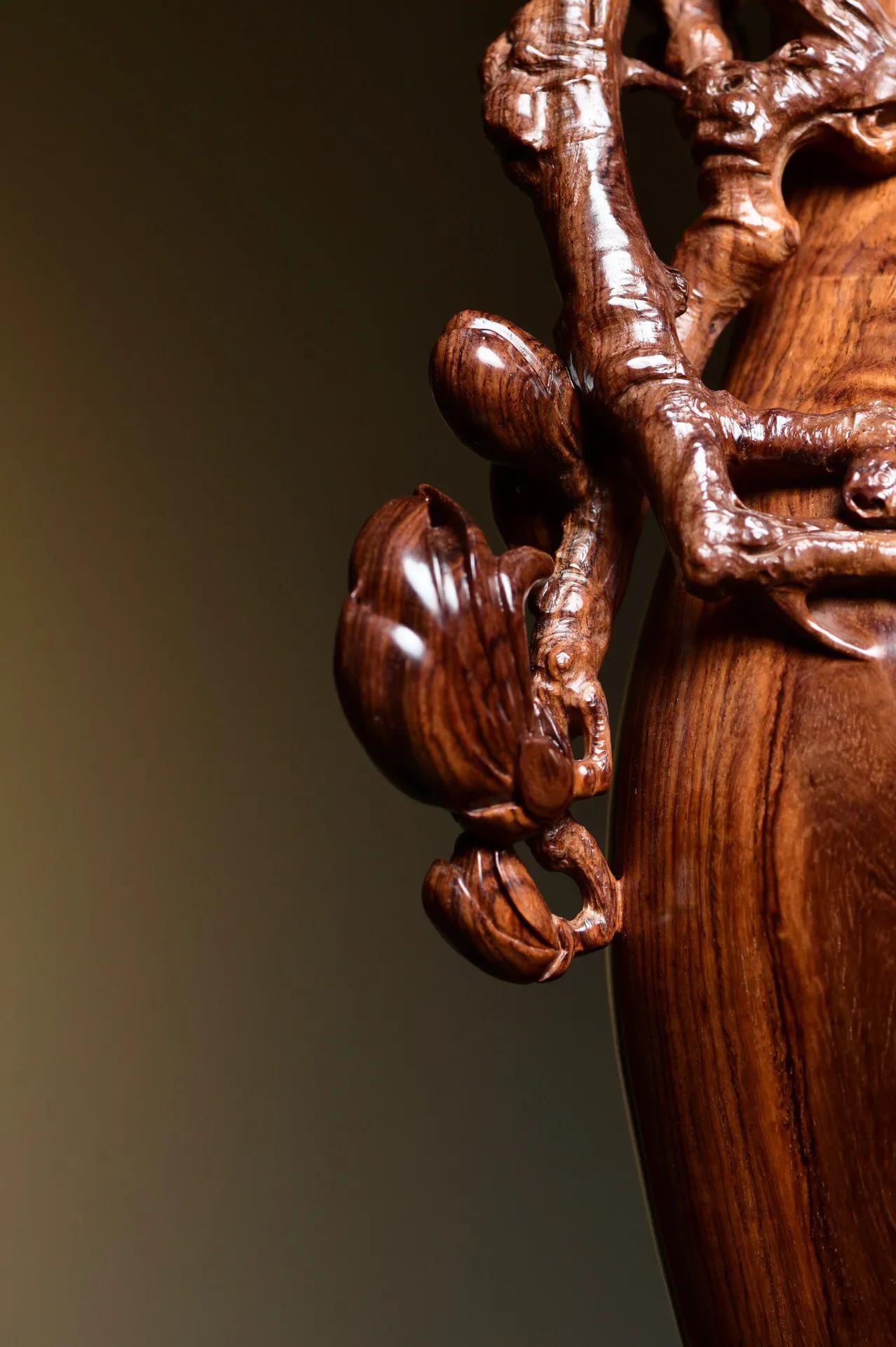 金玉满堂之满汉全席,金玉满堂花怎么养