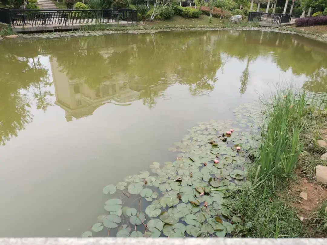 换掉物业最省事的办法,换掉物业之后小区变好了吗