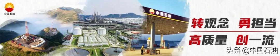 95690电话,952046接听收费吗