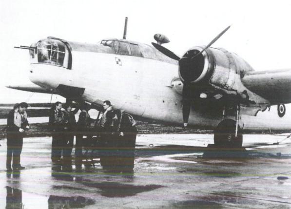 漂泊的鱼完整版,漂泊的鱼鹰