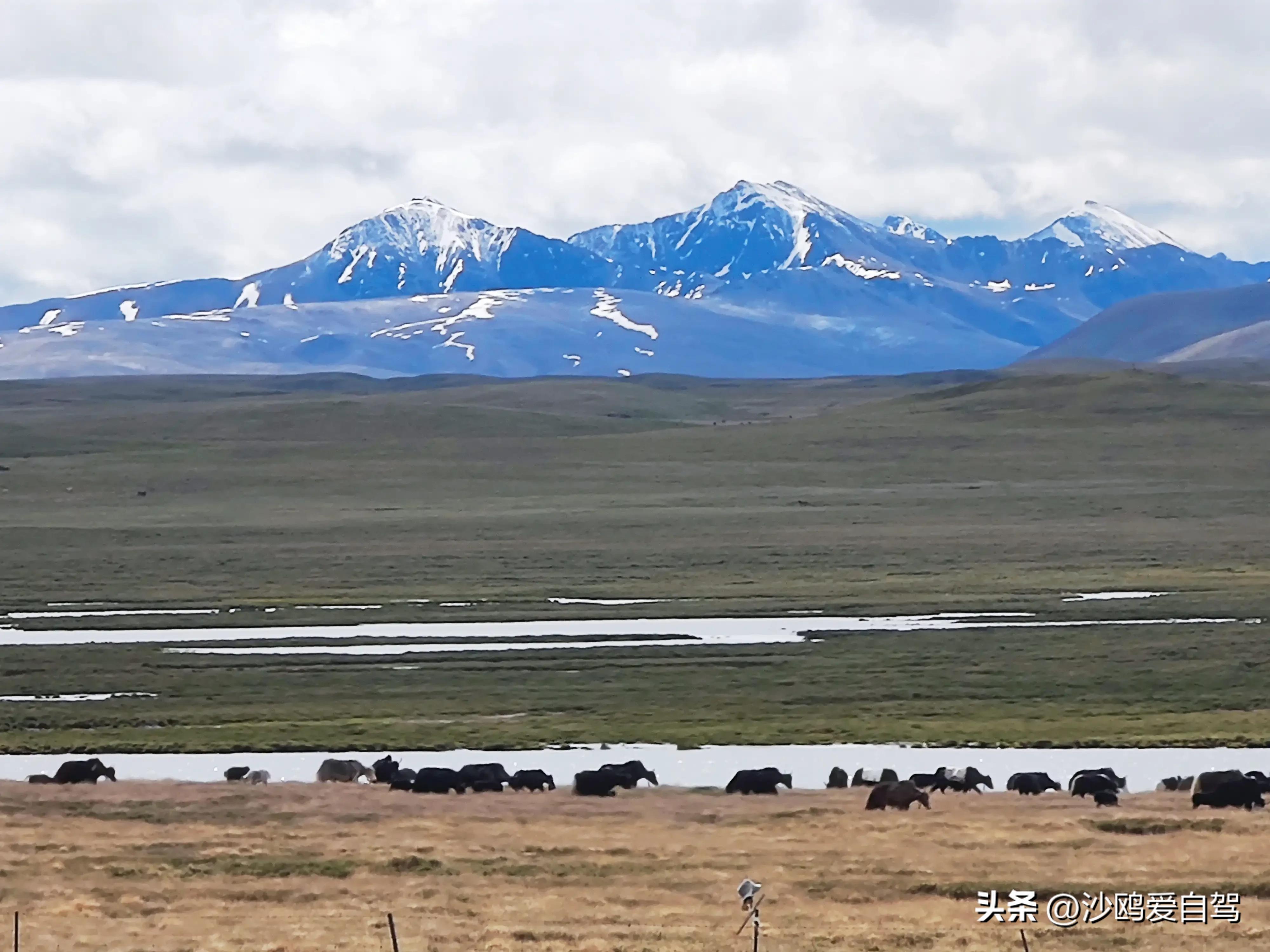 西藏自驾游三大圣湖,自驾西藏行摄之旅米堆冰川