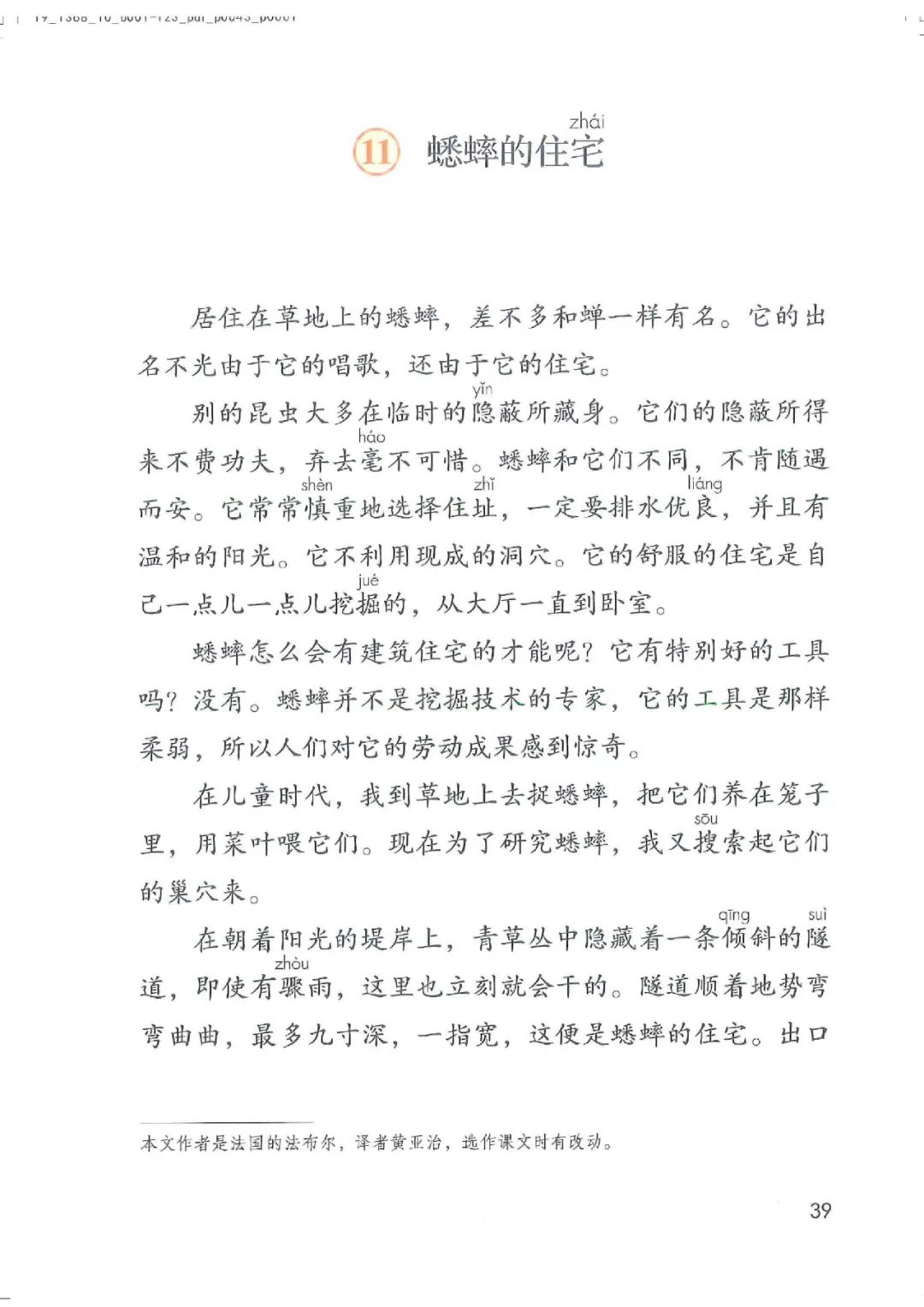 暑假预习教材推荐人教版,四年级上册语文课本人教版完整版