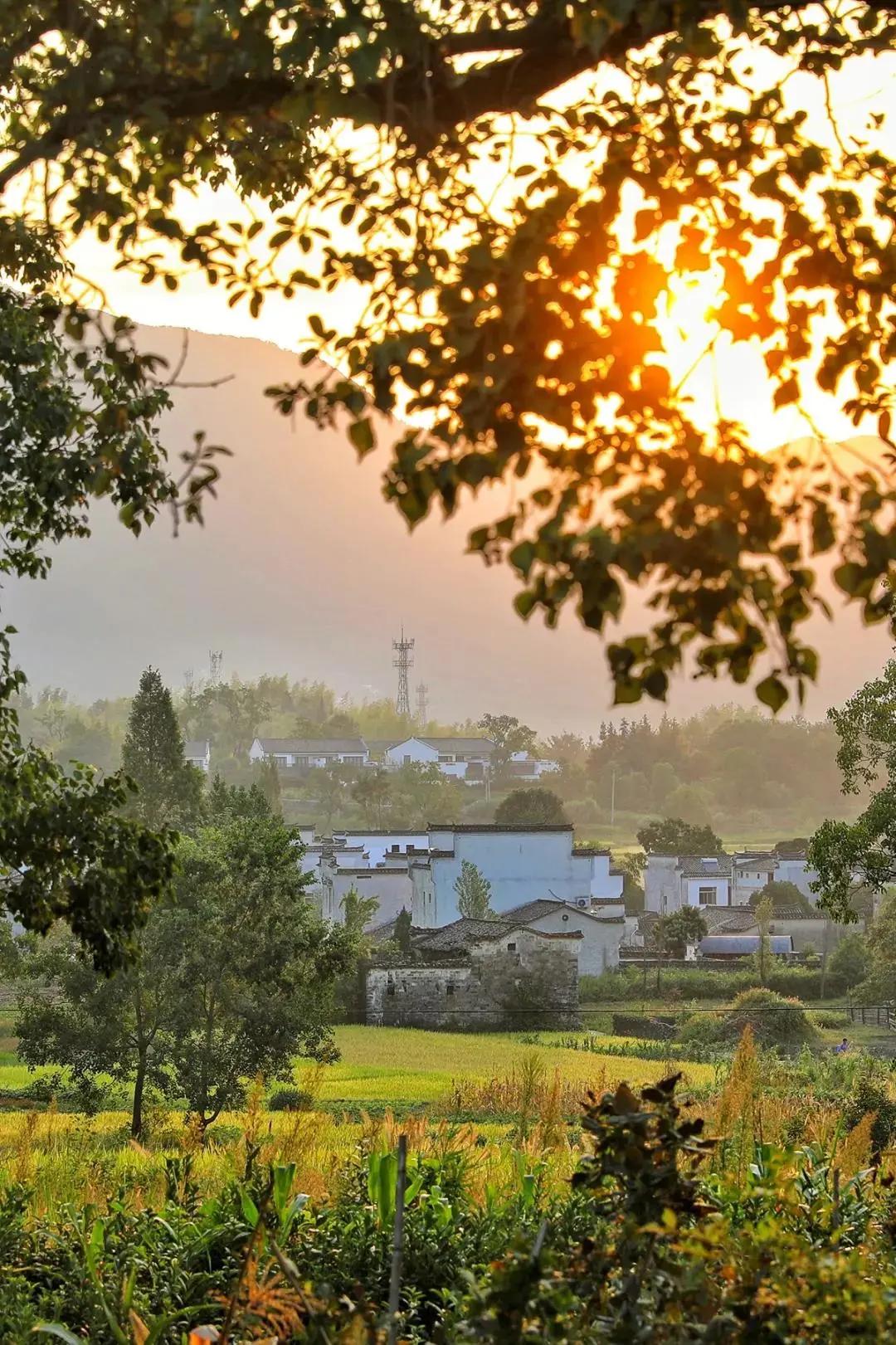 带你去看不一样的黄山之美,2020黄山旅游攻略带你玩转黄山