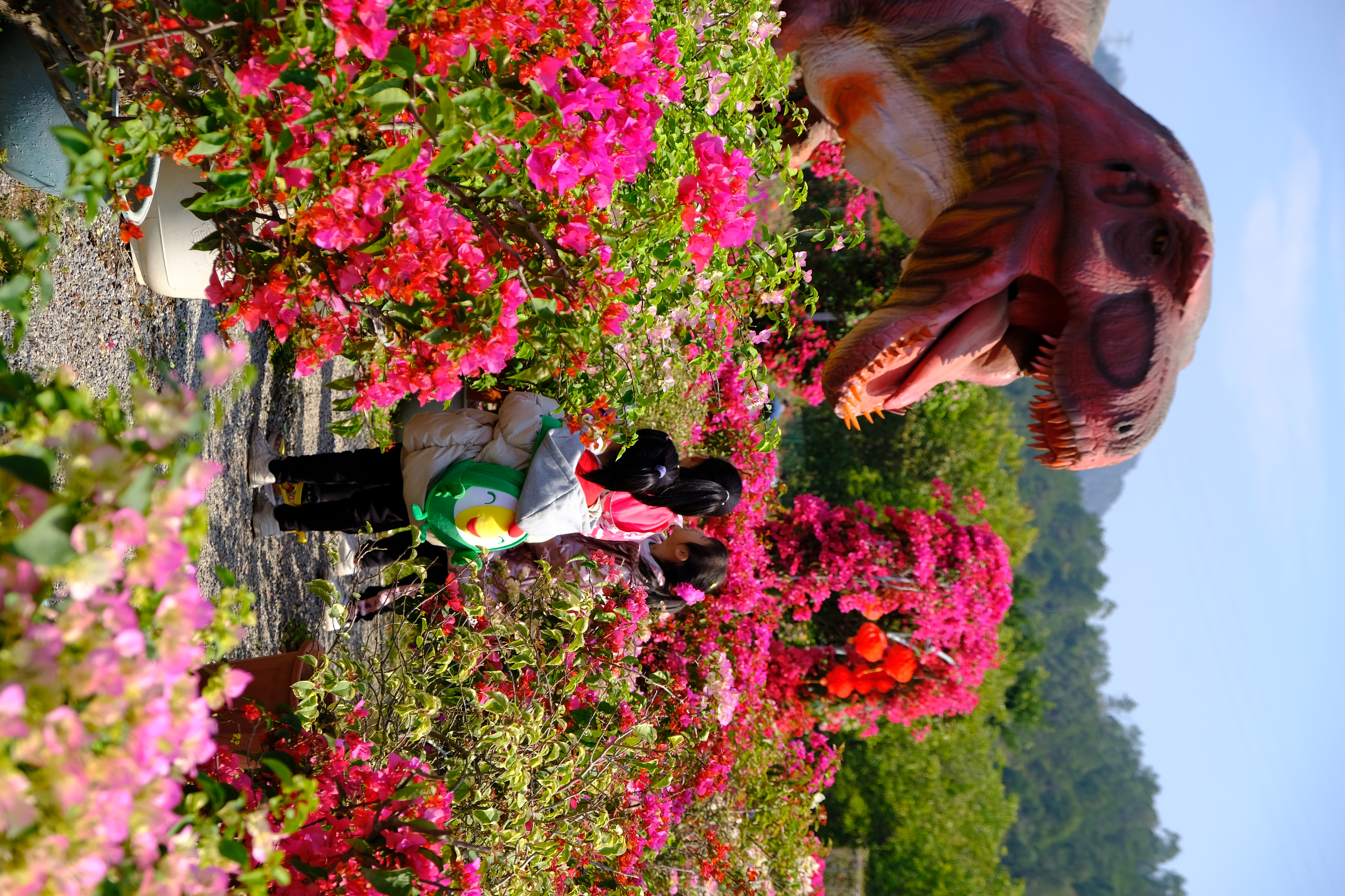 富士xt3配1855镜头拍摄效果,富士xe3套机镜头