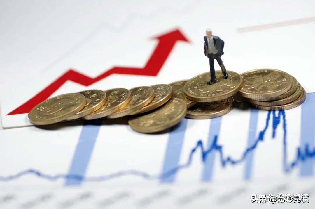 云南上市公司独立董事全画像：有80岁在岗有薪酬不足3万