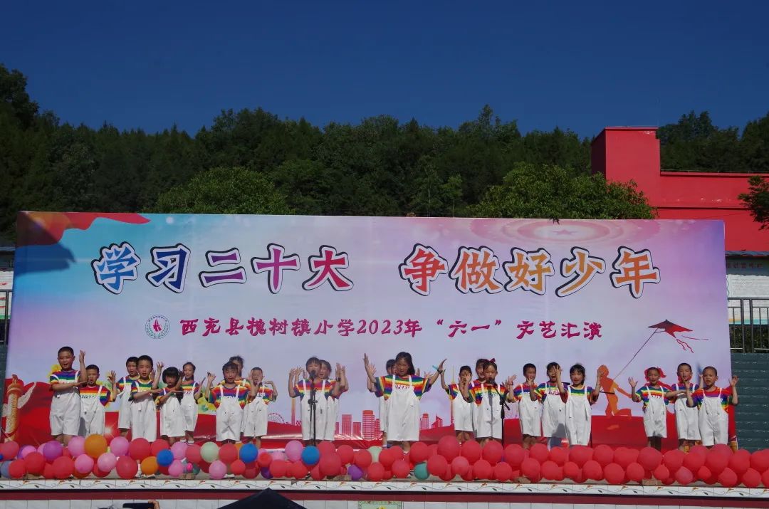 西充县槐树镇小学：学习二十大，争做好少年