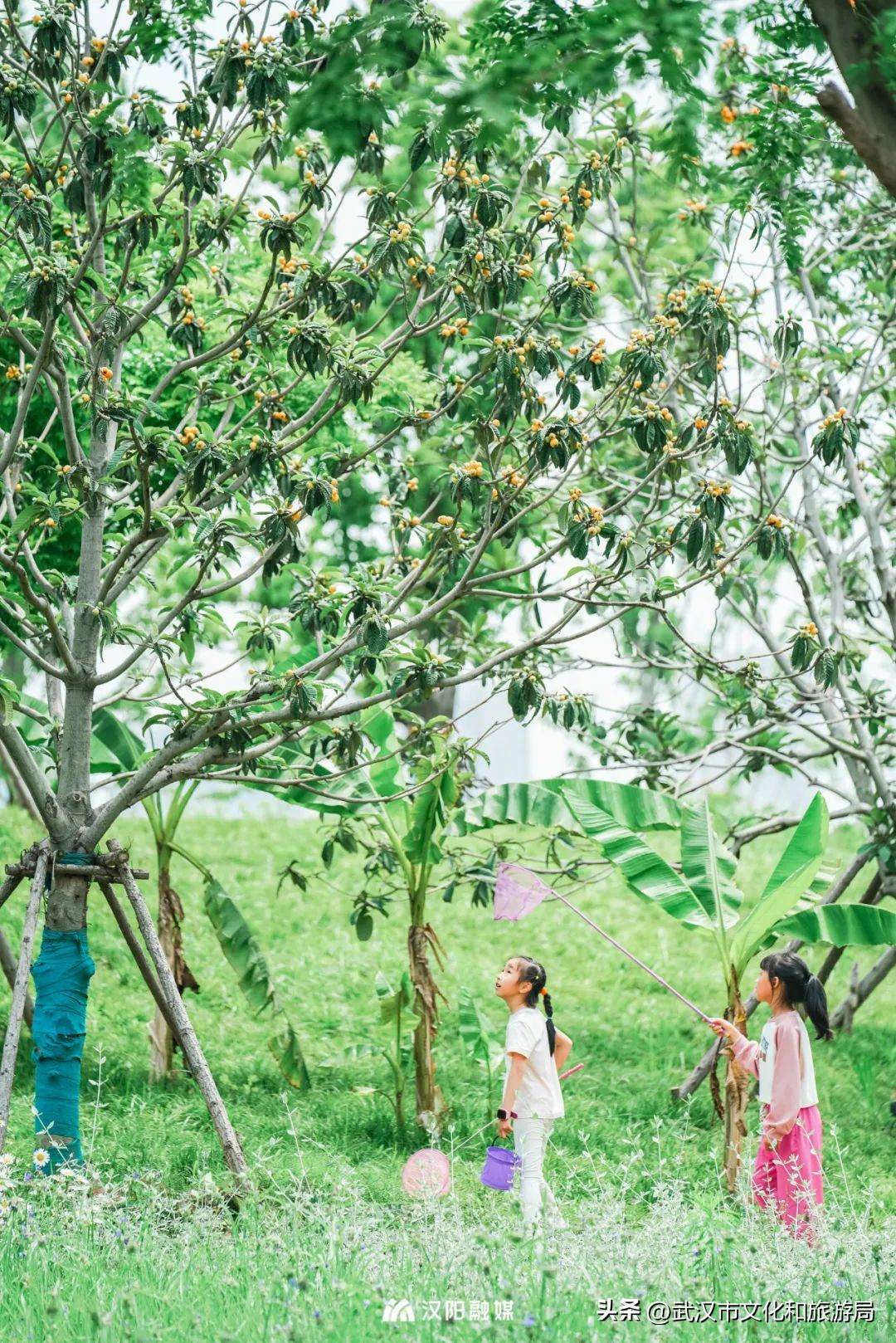 人均绿地面积第一,汉阳人人有份