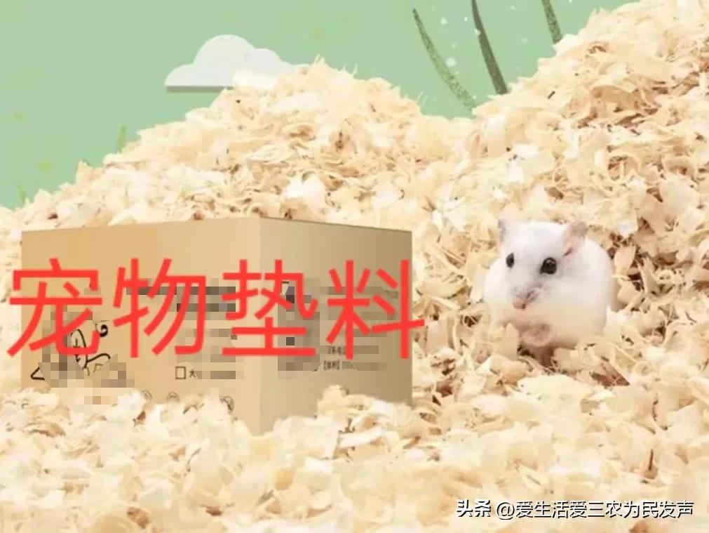 冷门的赚钱项目快速致富,想赚钱的朋友看过来