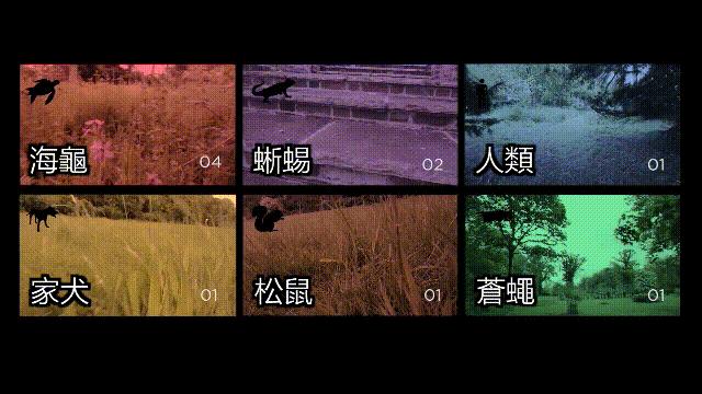 元宇宙给我们带来的影响,元宇宙对普通生活的影响