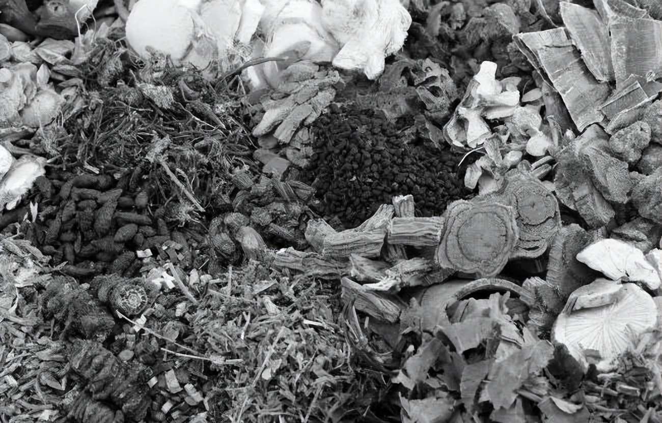 民间毒蛇咬伤特效药,江苏民间医生以毒蛇试毒炼成秘药