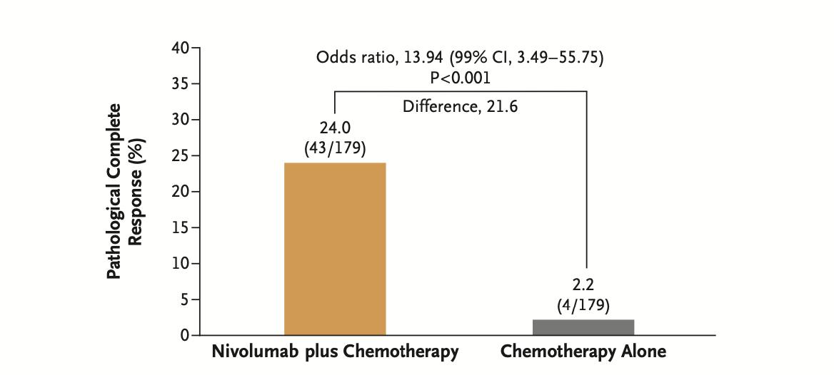免疫治疗联合化疗肺腺癌效果,免疫联合化疗治疗癌症