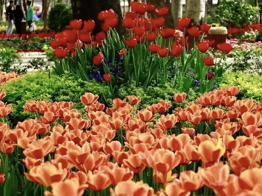 伊朗德黑兰旅游景点在哪里,伊朗国家博物馆景区