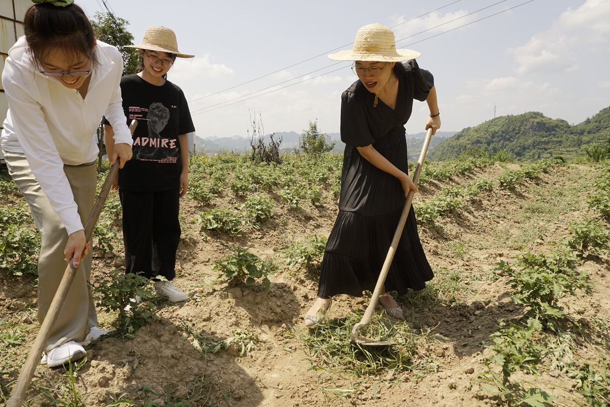 辛巴助力贫困学子圆梦象牙塔，华中农大直播助农走进乡村田间地头