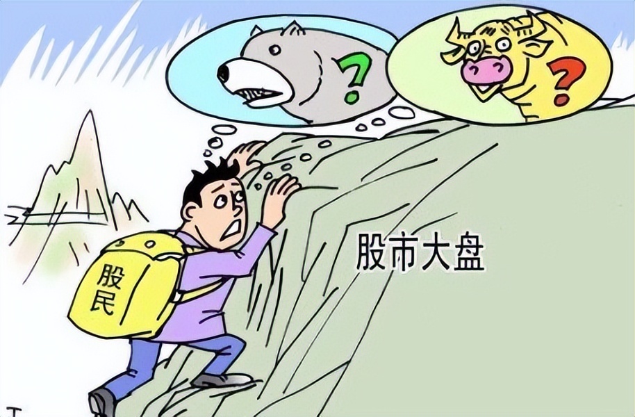 理财必学,最具成长性的大盘股