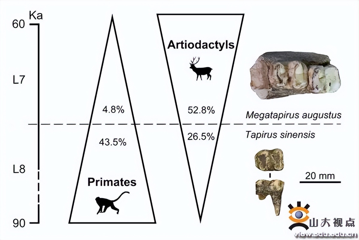 您的SDU学术一览，请及时签收！