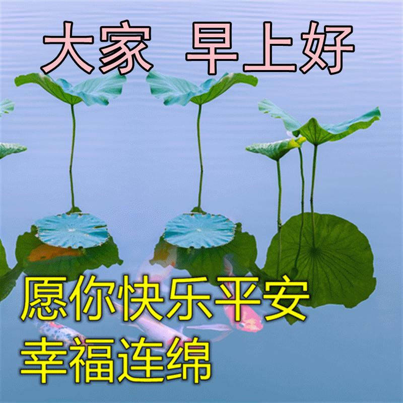 最漂亮的早安祝福图片和问候语 (2023年6月18日早上好祝福图片)