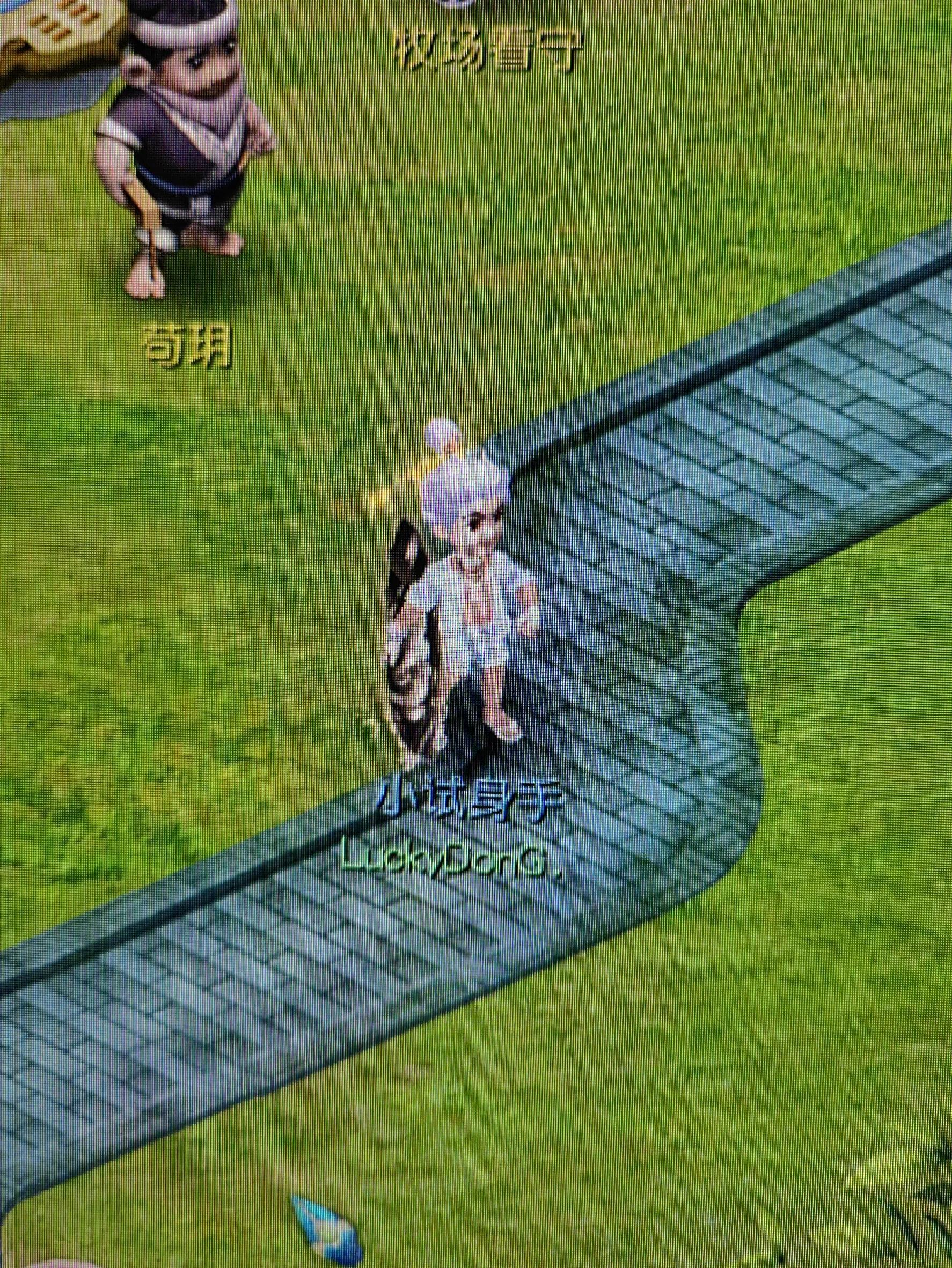 69天宫选哪个流派,69天宫值得玩吗