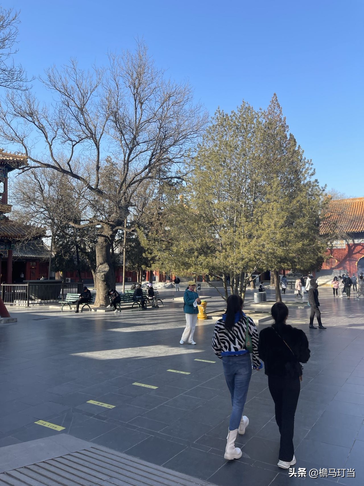 为了内心的安宁图片,去雍和宫寻找心灵的安静