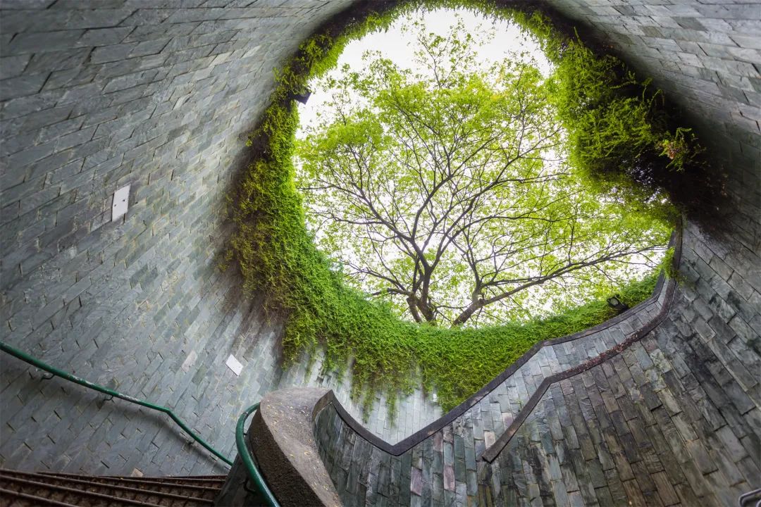 五一3-5天短途旅游推荐报团,五一3-5天短途旅游推荐一个人