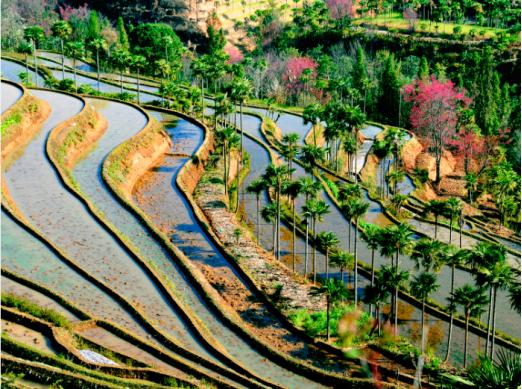 你对三峡知多少,你对太阳知多少
