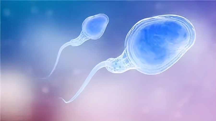 中老年夫妻应怎样生活,人到中年还需要友情吗