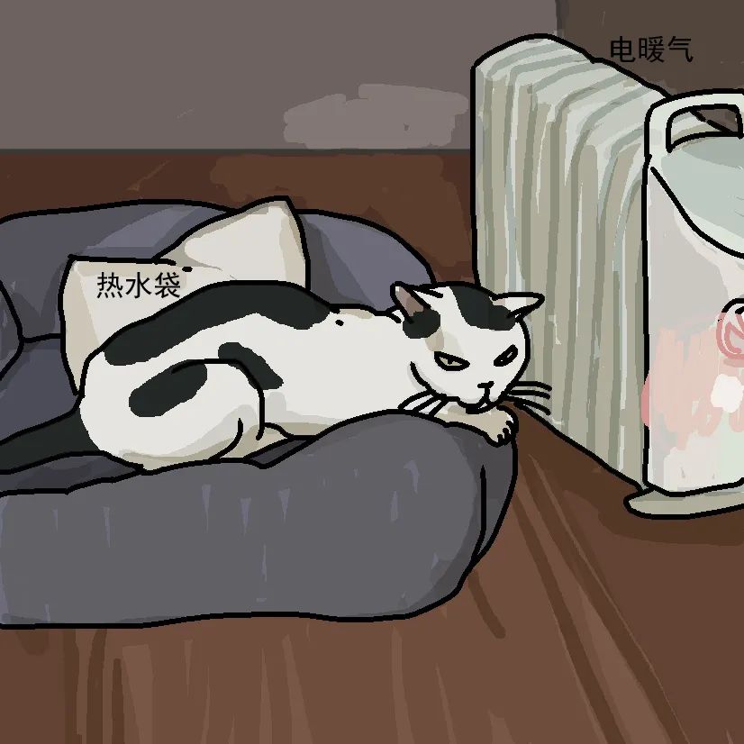 冬天猫咪怕冷吗该怎么给猫咪保暖 (怎么给猫咪穿衣服不掉毛)