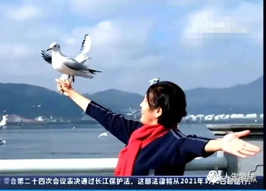 公安部管制刀具认定标准原文,公安部关于私藏管制刀具处罚标准