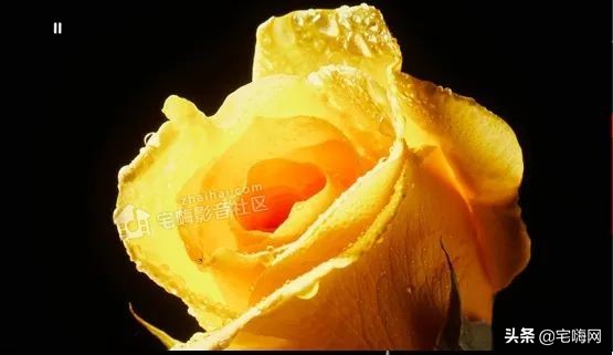 三星samsung55英寸oled测评,三星lsp9t评测